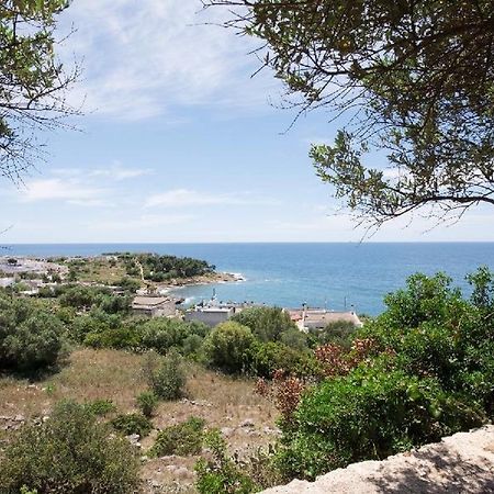 Villa Urania Torre San Giovanni Extérieur photo