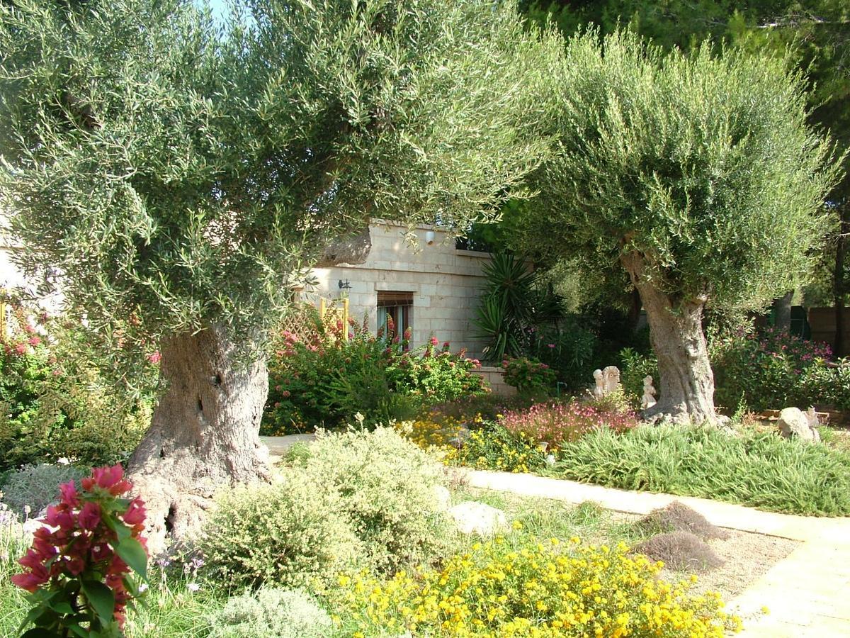 Villa Urania Torre San Giovanni Extérieur photo
